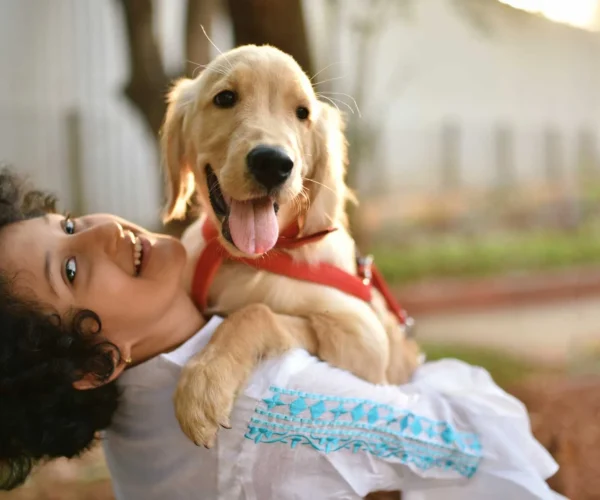 puppy