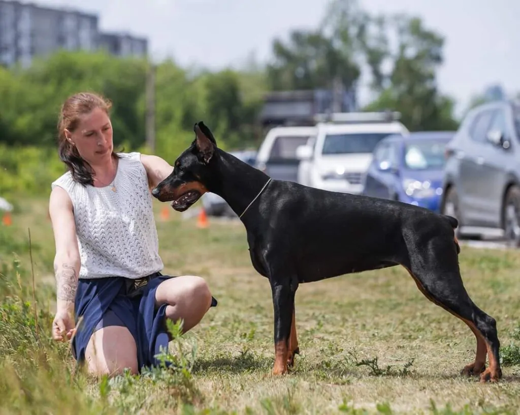 Dog Breeders in Bangalore